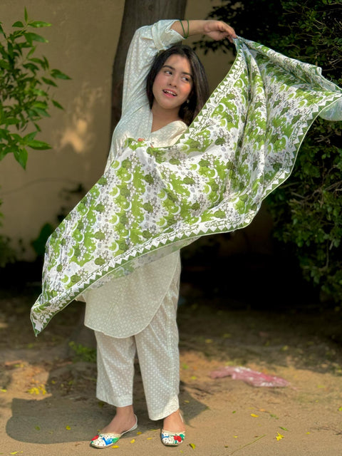 Sitara Pakistan stole
