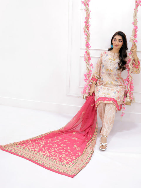 Noor Stitched 3 Pc (Beige)