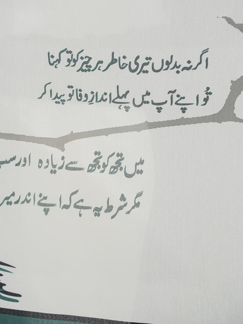 Shikwa Odhni (White)